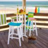 Contempo 30" Saddle Bar Stool